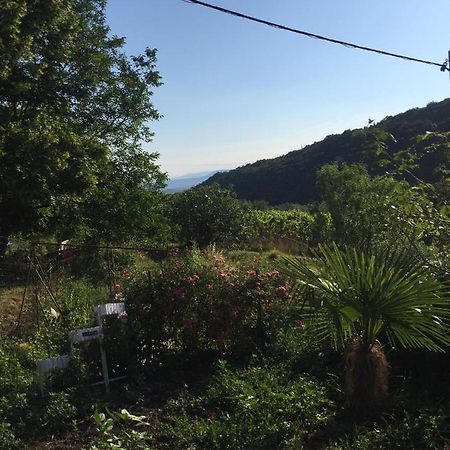 Salara Farmhouse Koper Zewnętrze zdjęcie