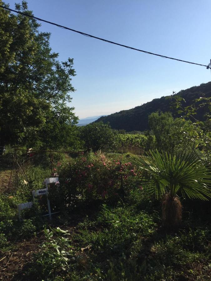 Salara Farmhouse Koper Zewnętrze zdjęcie