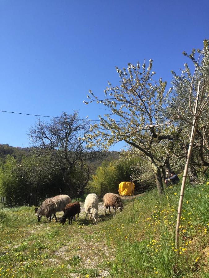 Salara Farmhouse Koper Zewnętrze zdjęcie