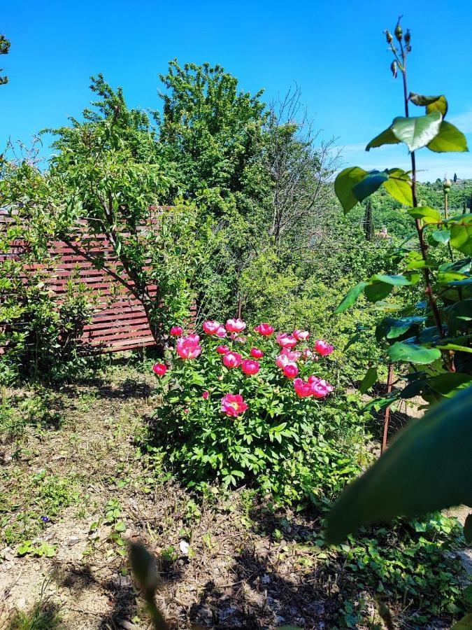 Salara Farmhouse Koper Zewnętrze zdjęcie