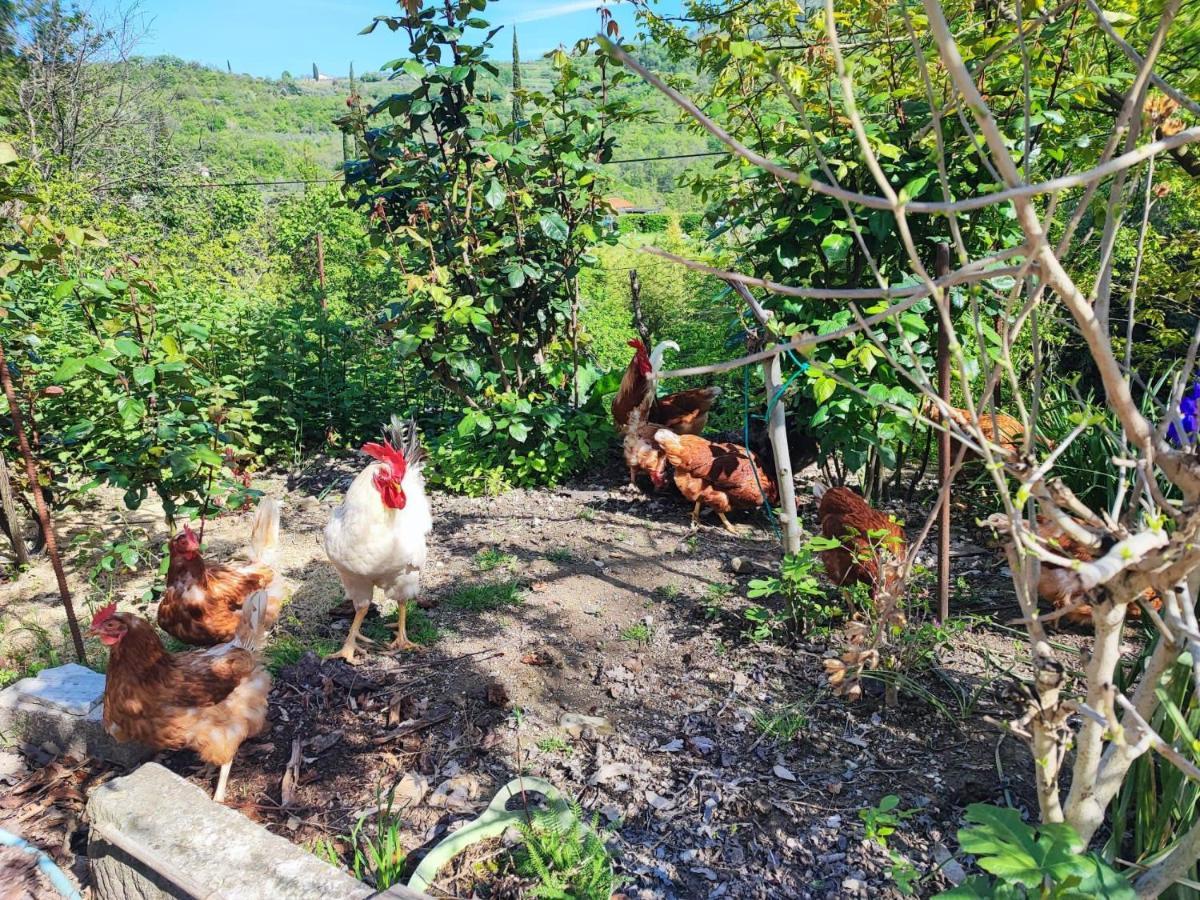 Salara Farmhouse Koper Zewnętrze zdjęcie