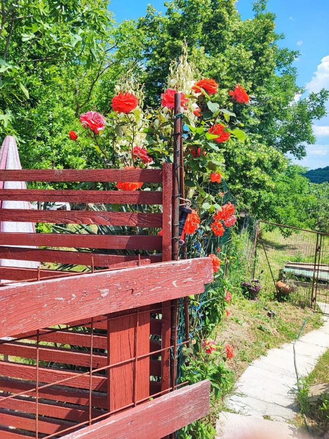 Salara Farmhouse Koper Zewnętrze zdjęcie
