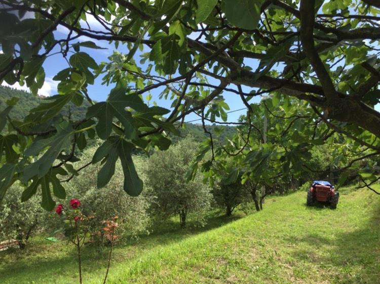 Salara Farmhouse Koper Zewnętrze zdjęcie