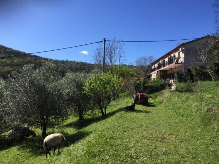 Salara Farmhouse Koper Zewnętrze zdjęcie